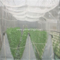 New Agricultural Fruit Tree Protection Anti Insect Net